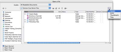 Adobe Dialog Details