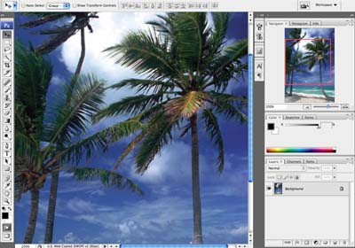 Photoshop CS3 Interface