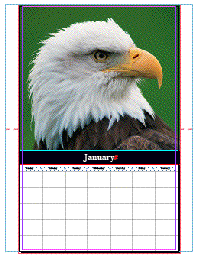 cal-jan.gif