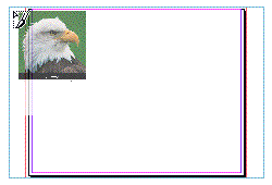 cal-place1.gif