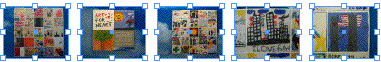 trans1.gif
