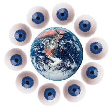 imagestroke6