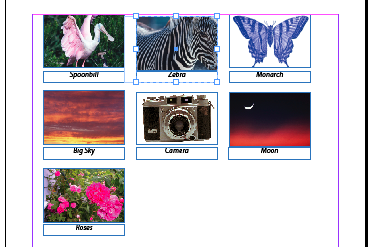 reflowgraphics4