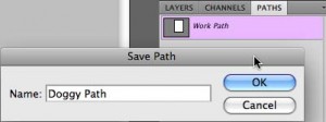 Save the Path