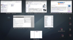 Expose windows