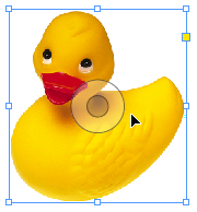 cs5-grabber