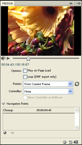 cs5-mediapan