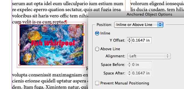 Anchored Object Options