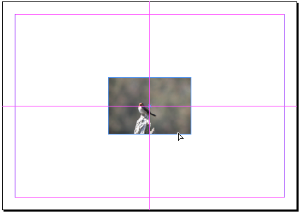Pink Smart Guides for Page Alignments