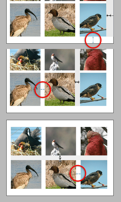 Blue Smart Guides example