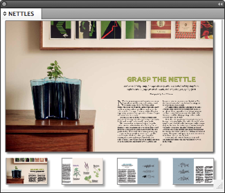 nettles panel
