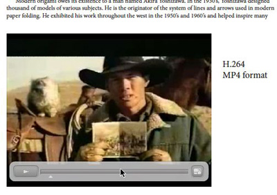 Video Playing in Adobe Reader or Acrobat