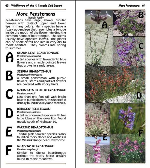 1 Sample composite pageB
