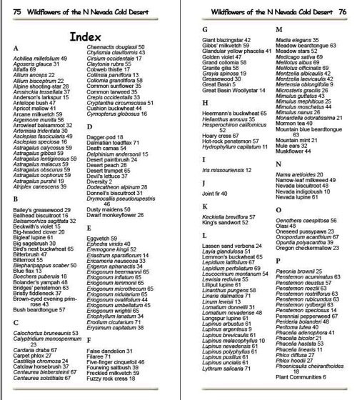 3 Index sample pageB