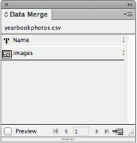 data merge panel