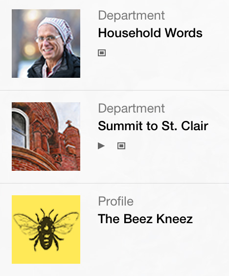 A small section of a DPS table of contents with custom thumbnail images.