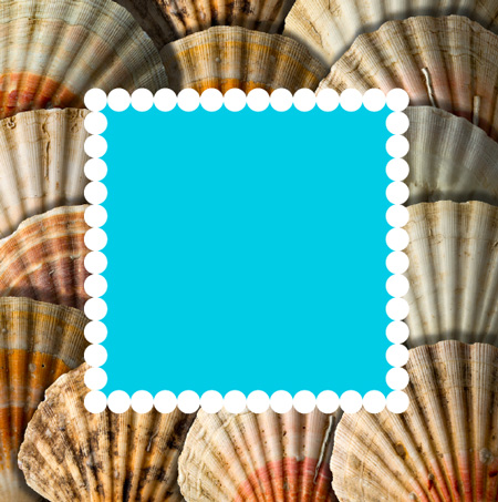 IDS_20140520_scallop4