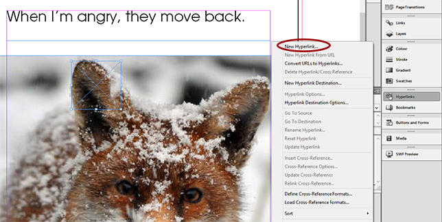 Using Rectangle Frame Tool to Add Hyperlinks_Page_04_Image_0002