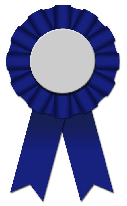 InDesign FX blue ribbon