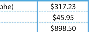 InDesign table close up