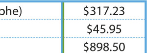 InDesign table column close up