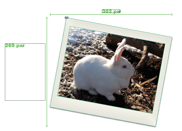 Bunneh-8