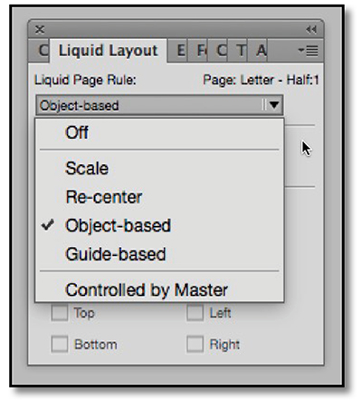 Options in the Liquid Layout panel.