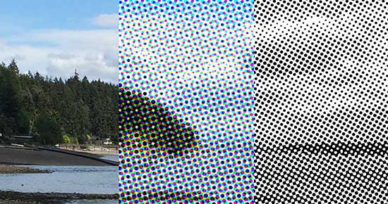 halftone0.jpg Three-part image shows one photo as continuous tone, color halftone, and grayscale halftone