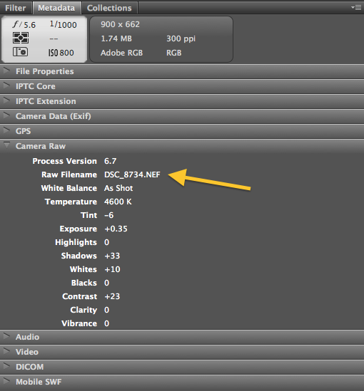 Camera Raw Data in Bridge