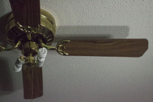 ShutterSpeed-4000-ISO6400-