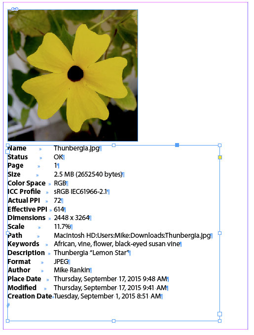 20150917-copylinkinfo5