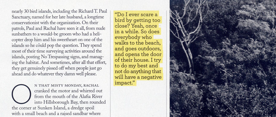 Yellow highlighting makes this pull quote which is placed in-between black and white elements jump off the page. Audubon magazine.