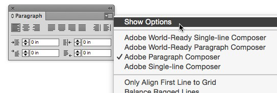 Choose "Show Options" from a panel's menu to view all input values.