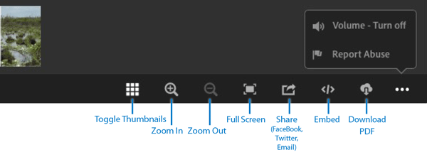 Figure 11: Several functions are available via icons at the bottom of the Publish Online document screen.