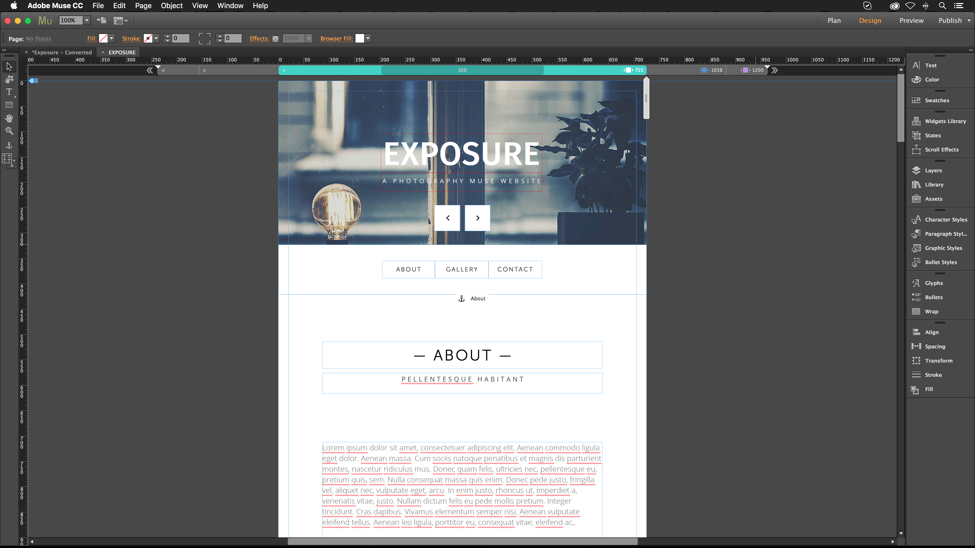 Adobe Muse starter files