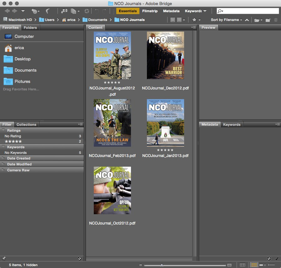 Figure 11: The Adobe Bridge window.