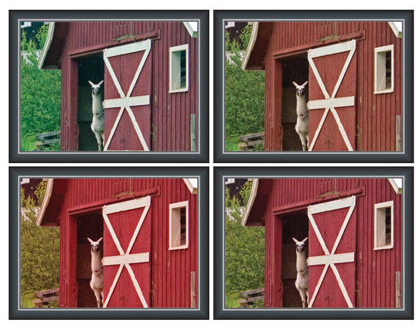 Figure 1: Which display tells the true story? (Hint: it’s the one on the lower right.)