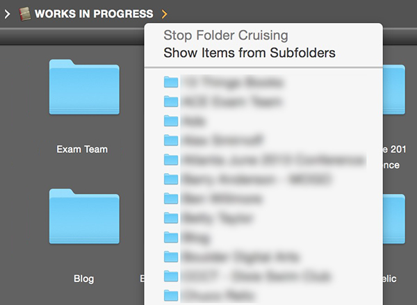 BridgeSubfolders