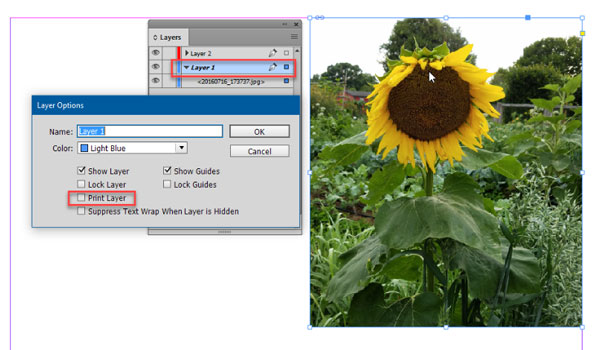 Figure 3: When a layer name appears in italics, that layer will not print. You can change this in the Layer Options dialog box.