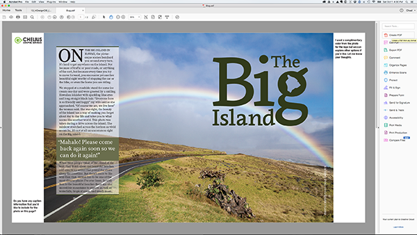 The final PDF opened in Adobe Acrobat.