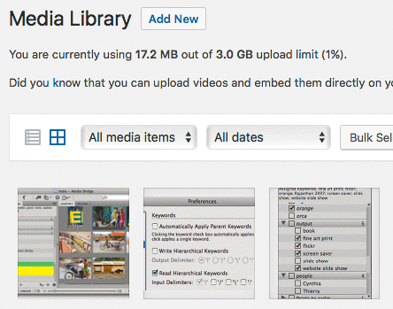 Figure 3: Images from an InDesign file exported by iziExport appear in the Media Library for the WordPress site.