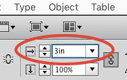 Figure 2: Enter the size and units in either of the Scale fields to resize an image and its frame at the same time.