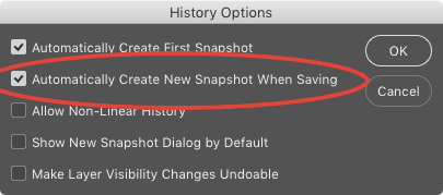 Photoshop History Snapshot Create When Saving