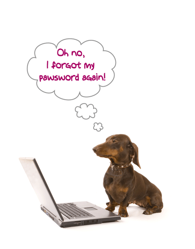 dog log in
