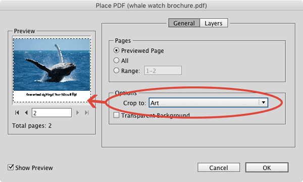 perplexing PDF contest solution