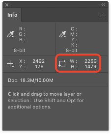 Photoshop selection size Info panel