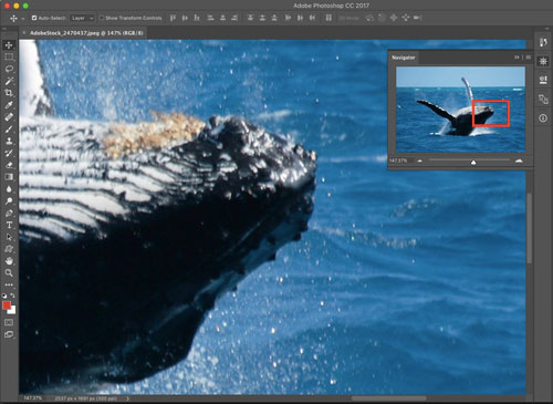 Photoshop Navigator panel