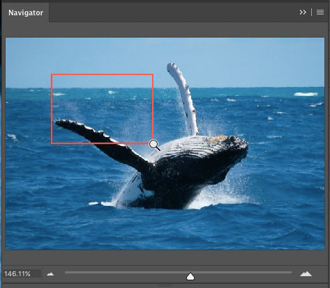 Photoshop Navigator panel