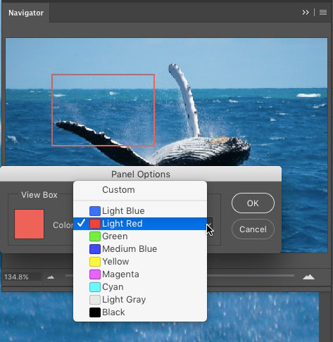 Photoshop Navigator panel