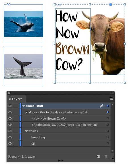 custom names in the Layers panel